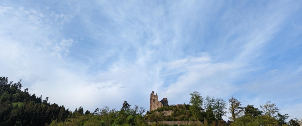 Blick auf die Schenkenburg