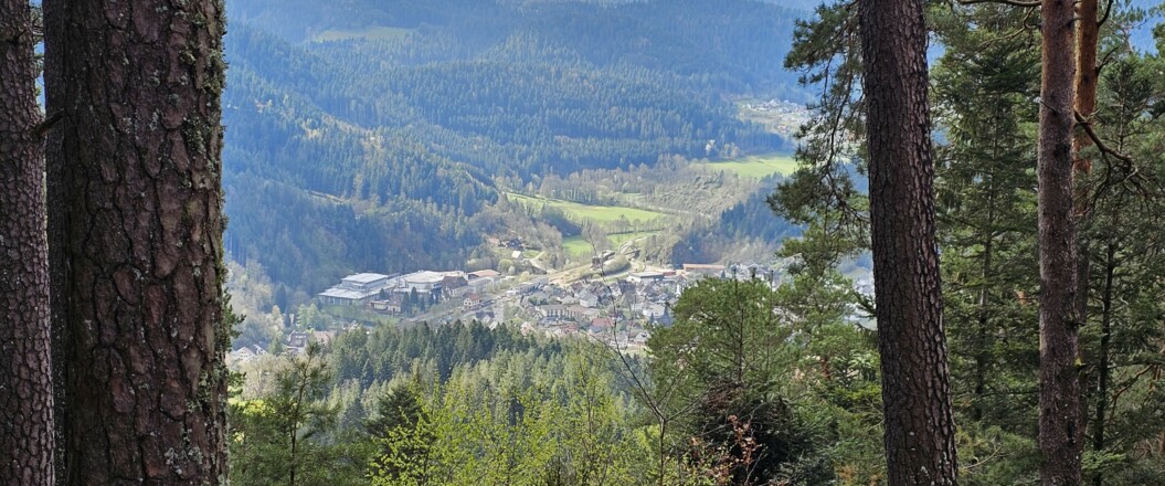 Blick auf Häuser Ortskern von Schenkienzell von der Staufenkopfhütte