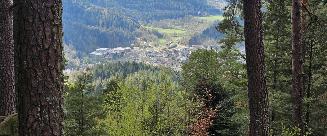 Blick auf Häuser Ortskern von Schenkienzell von der Staufenkopfhütte