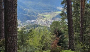 Blick auf Häuser Ortskern von Schenkienzell von der Staufenkopfhütte