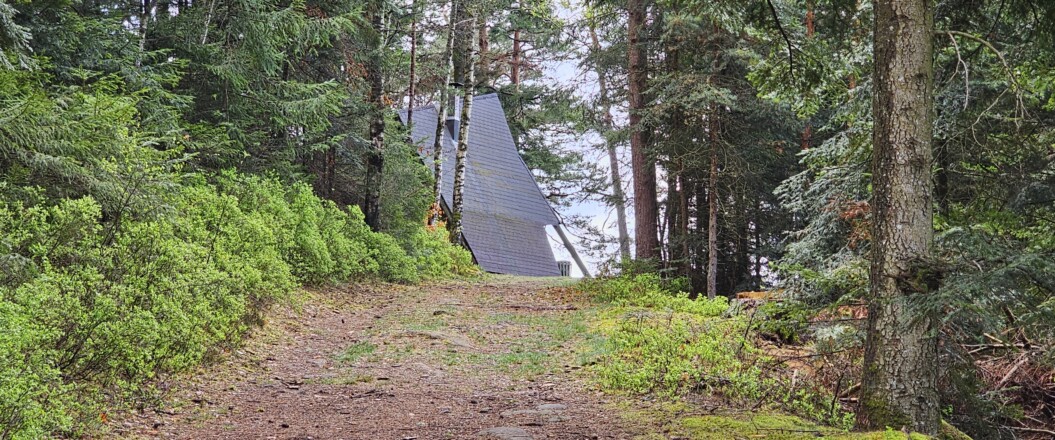Bild von Waldweg Richtung Staufenkopfhütte