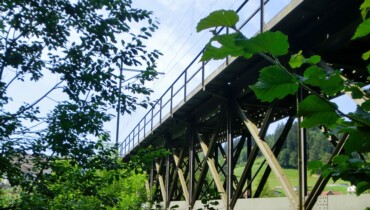 Bild von einer Eisenbahnbrücke zwischen Bäumen