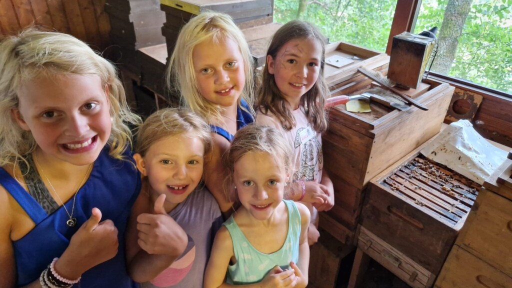 Mehrere Kinder vor Bienenstock im Bienenstand