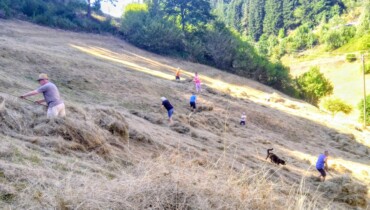 Bild von Helfern die Gras auf eiber gemähten Flächen zusammen rechen